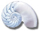 logo_nautilo3.jpeg (2606 bytes)